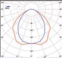  ������ ���� �����